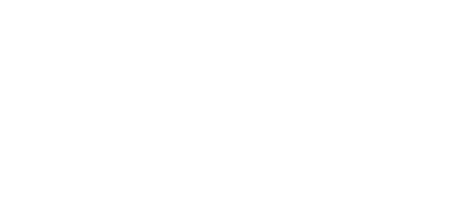 LSV Tecnologia